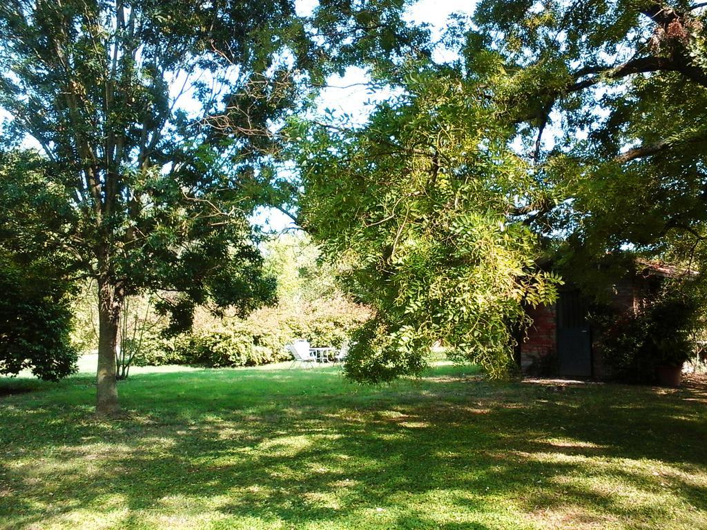 Ca Morari Bed & Breakfast Argenta Dış mekan fotoğraf