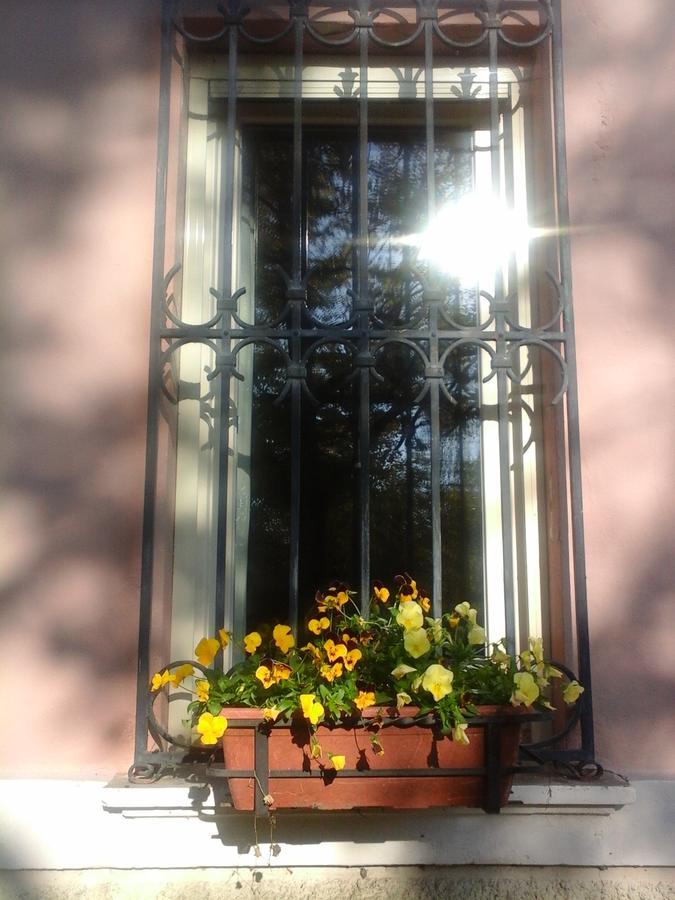 Ca Morari Bed & Breakfast Argenta Dış mekan fotoğraf